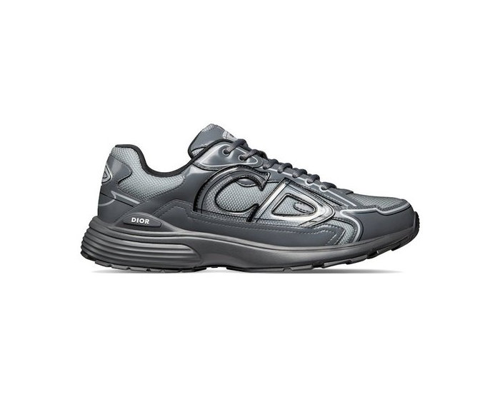 Dior B30 Light Gray