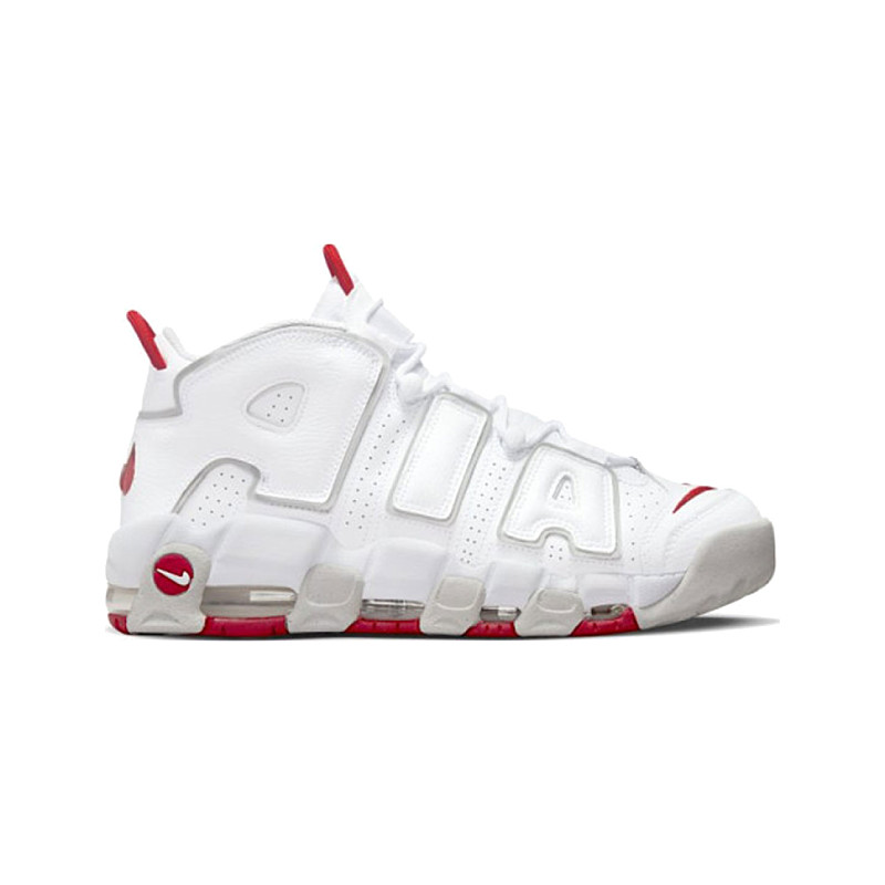 Nike Uptempo '96 "University Fog"
