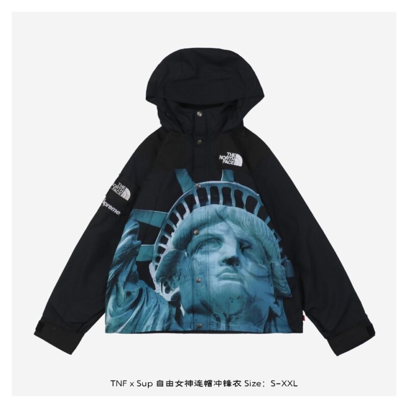 Chaqueta The North Face